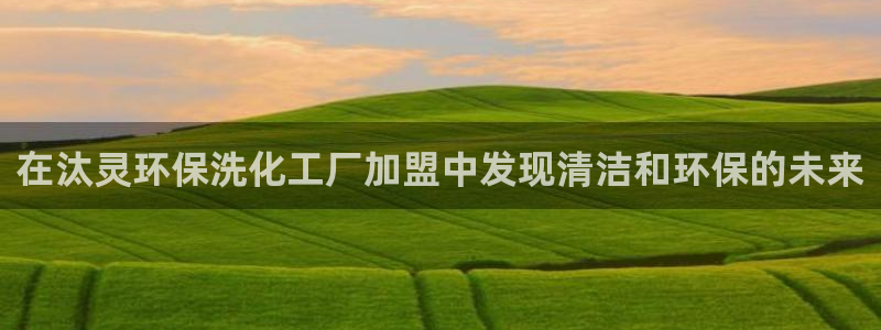 亿万先生客户端怎么下载：在汰灵环保洗化工厂加盟中发现清洁和环保的未来
