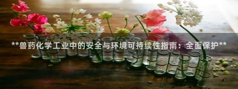 亿万先生 手机版下载：**兽药化学工业中的安全与环境可持续性指南：全面保护**
