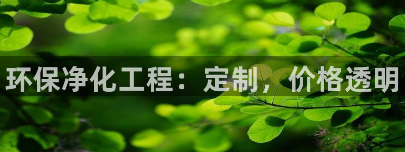 亿万先生官方网站下载安装：环保净化工程：定制，价格透明