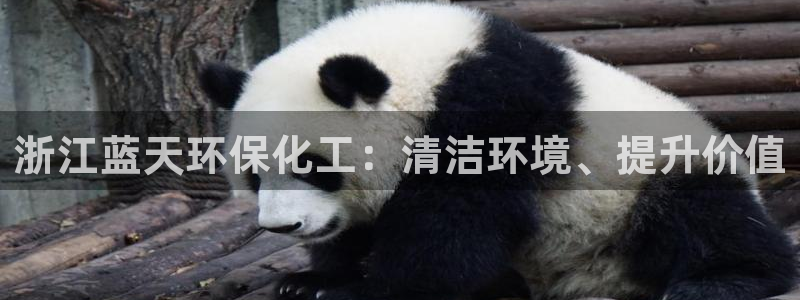 亿万先生手游下载安装：浙江蓝天环保化工：清洁环境、提升价值