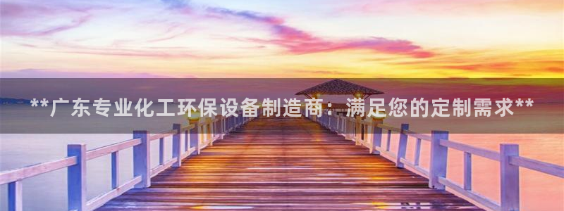 电影 亿万：**广东专业化工环保设备制造商：满足您的定制需求**