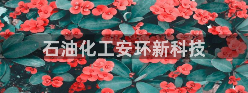 亿万先生换网址了吗知乎：石油化工安环新科技