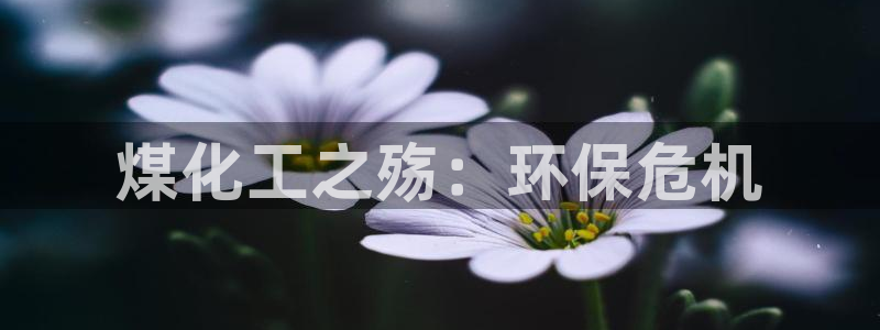亿万先生手机版入口在哪看：煤化工之殇：环保危机