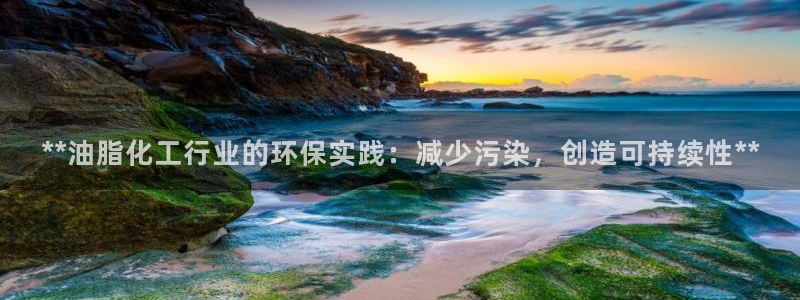 亿万先生网红：**油脂化工行业的环保实践：减少污染，创造可持续性**