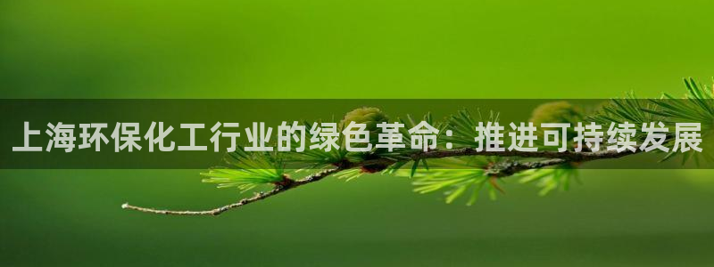 亿万先生mr07：上海环保化工行业的绿色革命：推进可持续发展