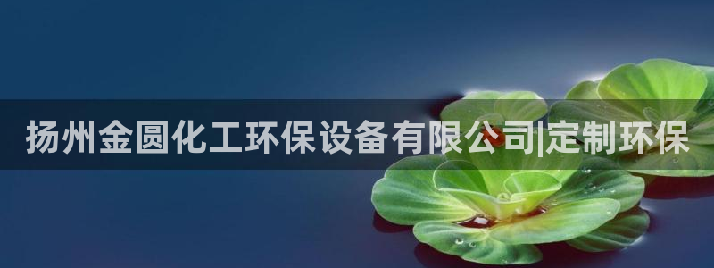 亿万城市手游：扬州金圆化工环保设备有限公司|定制环保