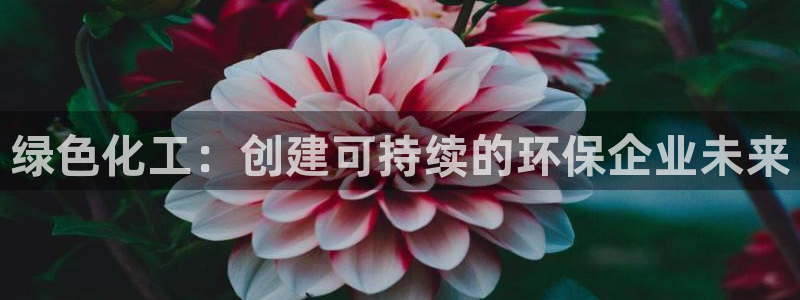 亿万先生用什么客户端：绿色化工：创建可持续的环保企业未来