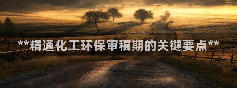 亿万先生客户端：**精通化工环保审稿期的关键要点**