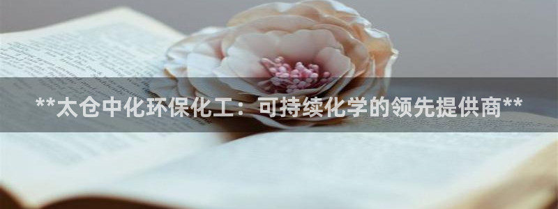 亿万先生网页版：**太仓中化环保化工：可持续化学的领先提供商**