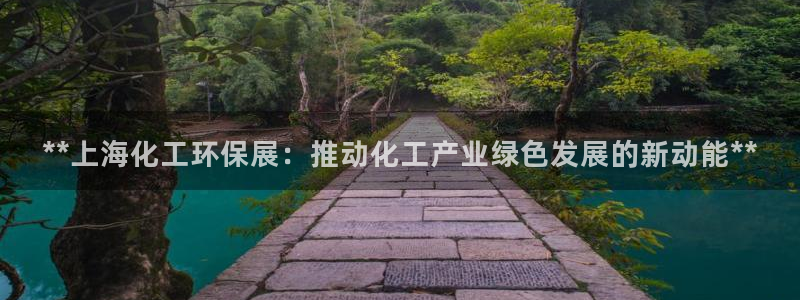 mr亿万先生：**上海化工环保展：推动化工产业绿色发展的新动能**