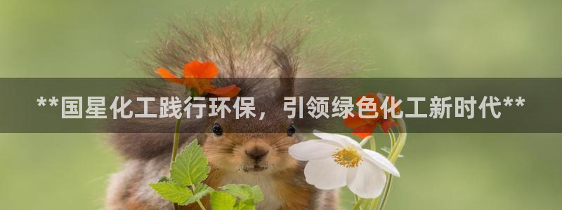 亿万先生客户端：**国星化工践行环保，引领绿色化工新时代**
