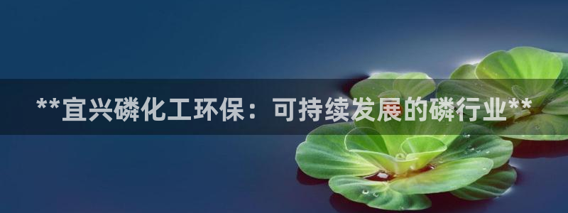 亿万的亿：**宜兴磷化工环保：可持续发展的磷行业**