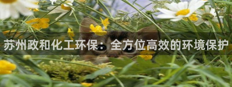 亿万集团：苏州政和化工环保：全方位高效的环境保护