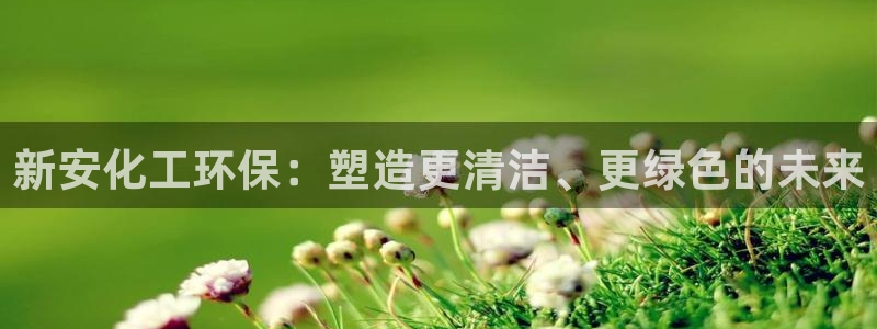 亿万网友在线实时为你解答：新安化工环保：塑造更清洁、更绿色的未来