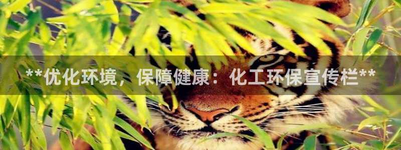 电视剧亿万：**优化环境，保障健康：化工环保宣传栏**