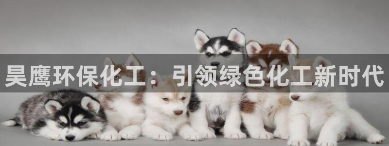 亿万先生客户端官网：昊鹰环保化工：引领绿色化工新时代