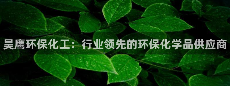 亿万第一集：昊鹰环保化工：行业领先的环保化学品供应商
