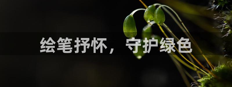 亿万剧情详解：绘笔抒怀，守护绿色
