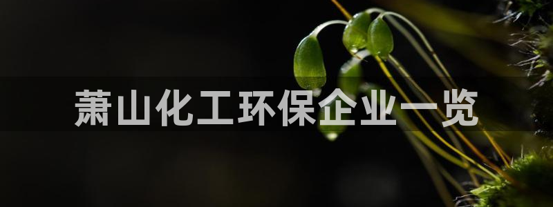 亿万网红：萧山化工环保企业一览