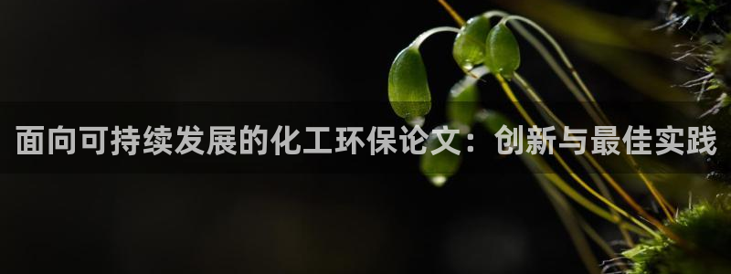 亿万国际平台是正规的吗安全吗：面向可持续发展的化工环保论文：创新与最佳实践