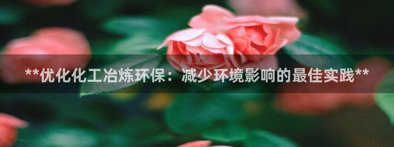 亿万剧集：**优化化工冶炼环保：减少环境影响的最佳实践**