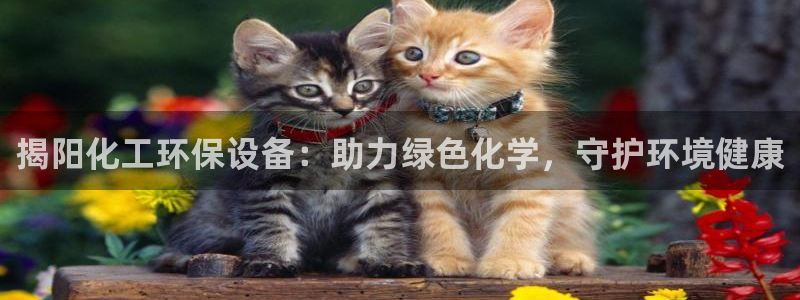 亿万先生手游下载：揭阳化工环保设备：助力绿色化学，守护环境健康