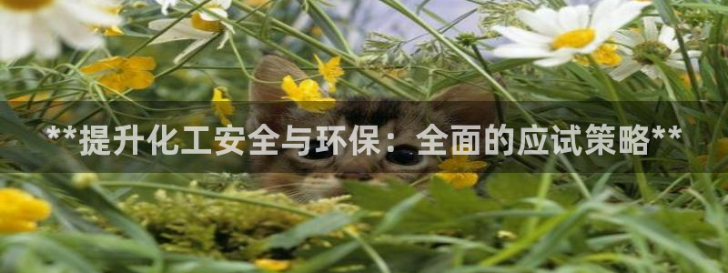 亿万先生手机版客户端下载安装：**提升化工安全与环保：全面的应试策略**