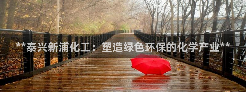 亿万番外：**泰兴新浦化工：塑造绿色环保的化学产业**