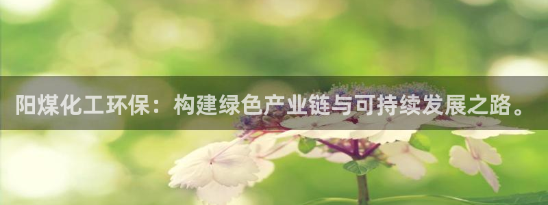亿万国际平台是正规的吗安全吗：阳煤化工环保：构建绿色产业链与可持续发展之路。
