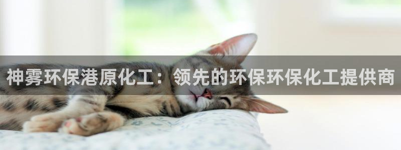 亿万先生手机版入口在哪看：神雾环保港原化工：领先的环保环保化工提供商
