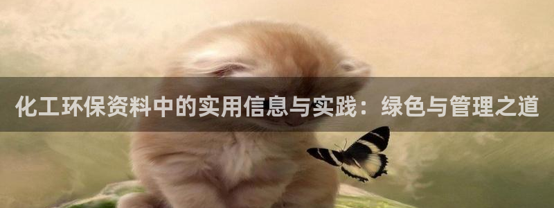电影亿万：化工环保资料中的实用信息与实践：绿色与管理之道