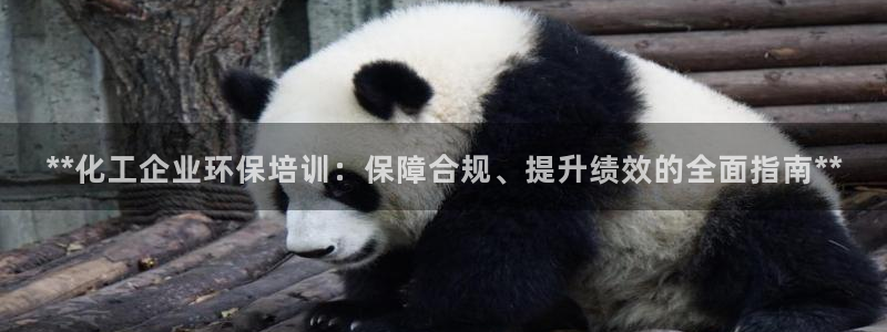 亿万第一季解说：**化工企业环保培训：保障合规、提升绩效的全面指南**