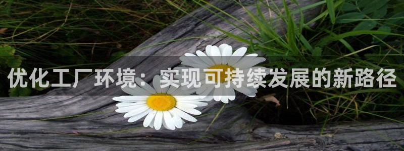 亿万先生手机网：优化工厂环境：实现可持续发展的新路径