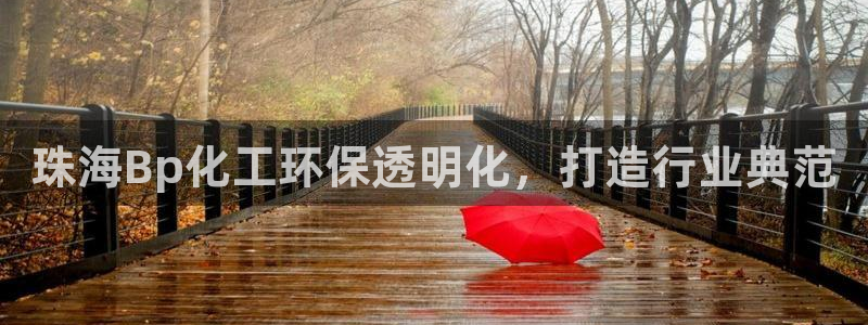 亿万先生手机版入口在哪：珠海Bp化工环保透明化，打造行业典范