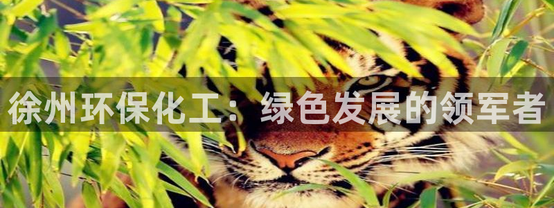 亿万网友在线实时为您解答：徐州环保化工：绿色发展的领军者