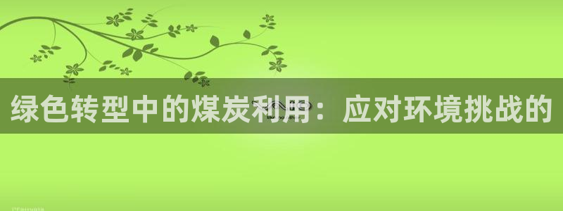 亿万先生mr07：绿色转型中的煤炭利用：应对环境挑战的