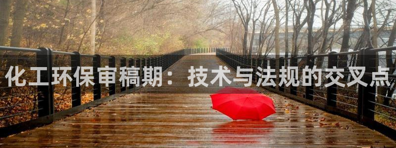 亿万网友在线解答：化工环保审稿期：技术与法规的交叉点