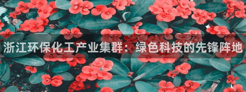 亿万先生官方网站下载：浙江环保化工产业集群：绿色科技的先锋阵地