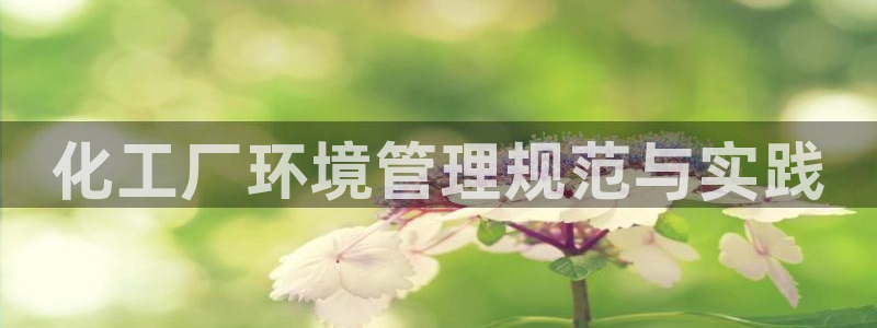 亿万先生网站：化工厂环境管理规范与实践