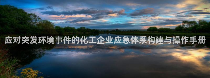 亿万先生情侣车有什么用：应对突发环境事件的化工企业应急体系构建与操作手册