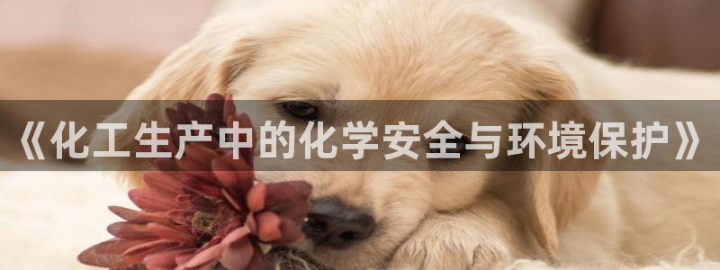 亿万先生mr014：《化工生产中的化学安全与环境保护》