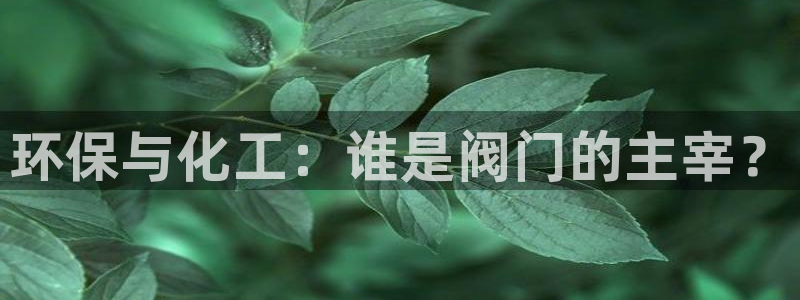 亿万先生手机版入口在哪看：环保与化工：谁是阀门的主宰？