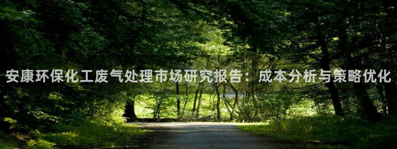 亿万先生手机版入：安康环保化工废气处理市场研究报告：成本分析与策略优化