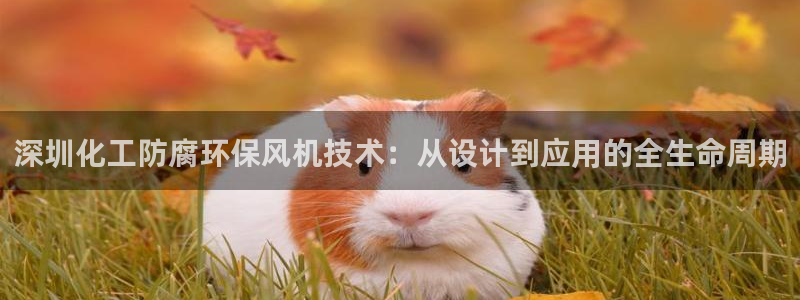 亿万百度百科：深圳化工防腐环保风机技术：从设计到应用的全生命周期