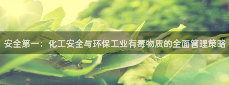 亿万网红：安全第一：化工安全与环保工业有毒物质的全面管理策略