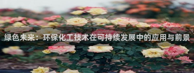 亿万先生客服联系方式查询：绿色未来：环保化工技术在可持续发展中的应用与前景