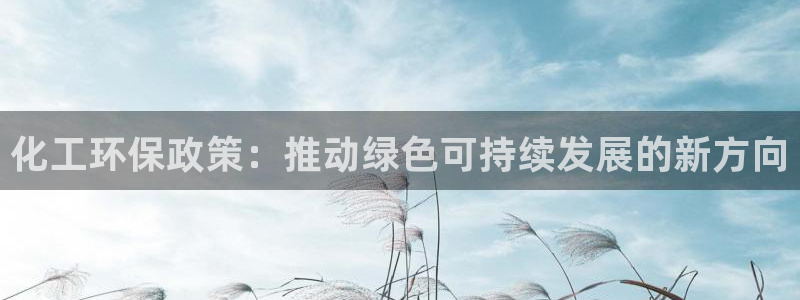 亿万先生是男是女：化工环保政策：推动绿色可持续发展的新方向