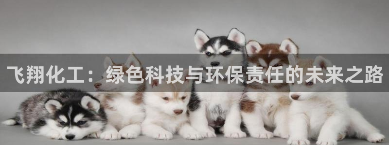 亿万讲什么：飞翔化工：绿色科技与环保责任的未来之路