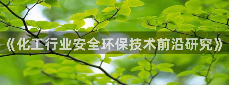 亿万先生情侣车有什么用：《化工行业安全环保技术前沿研究》
