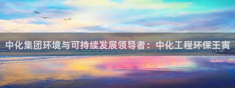 亿万网络科技有限公司ceo：中化集团环境与可持续发展领导者：中化工程环保王寅